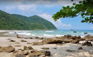 Praia do Pinheiro (Taguaíba) no Guarujá: o paraíso escondido entre o mar e a Mata Atlântica
